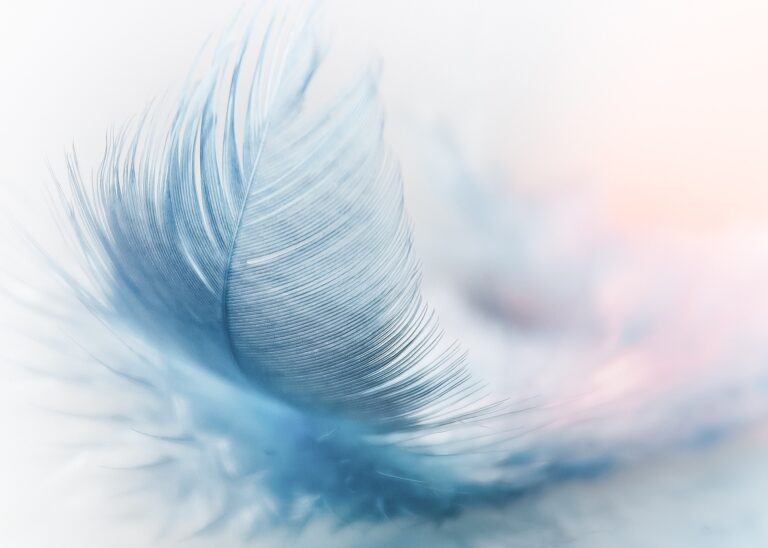hd-wallpaper-g2c7f29cbb_1920
