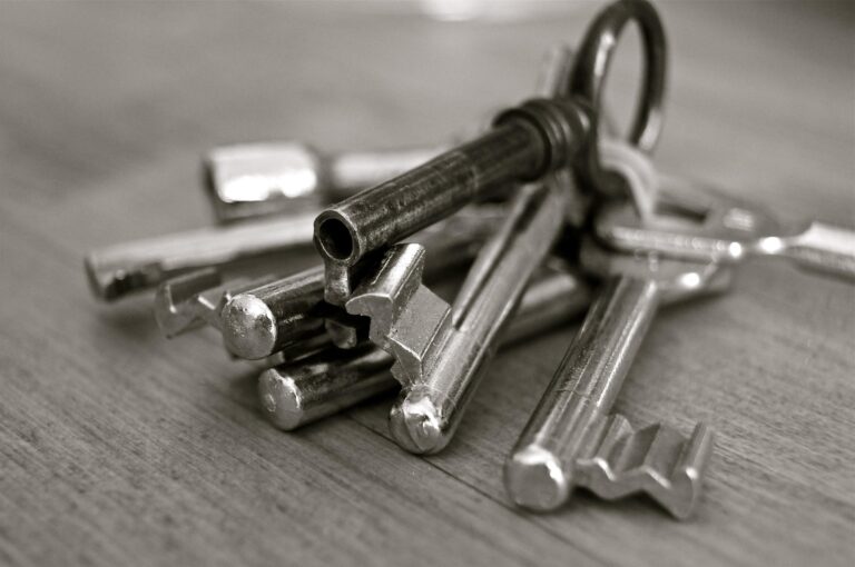 keys-gd6056d250_1920